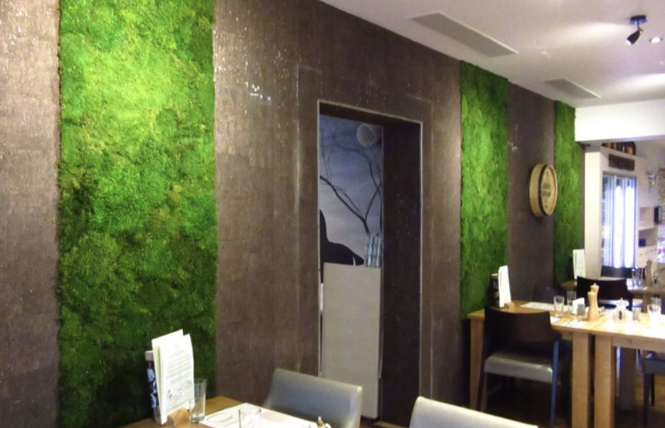 Mur végétal stabilisé en espace d'accueil professionnel – 3L-DECO (77400