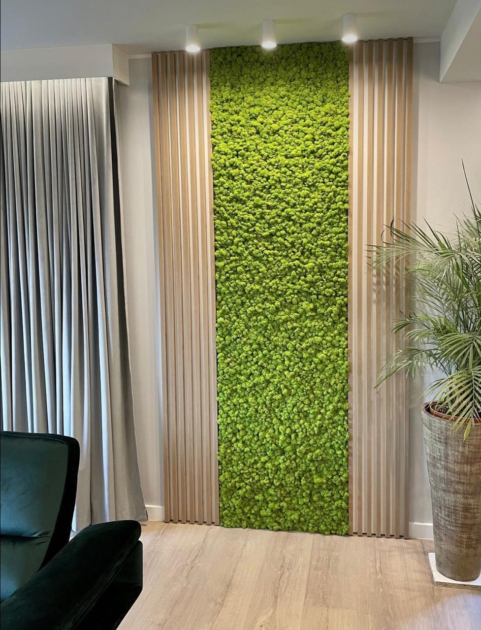 Tableau végétal stabilisé décoratif – 3L-DECO